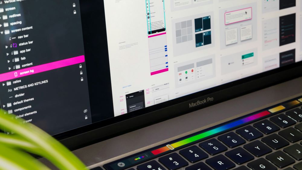 Web Design vs Development