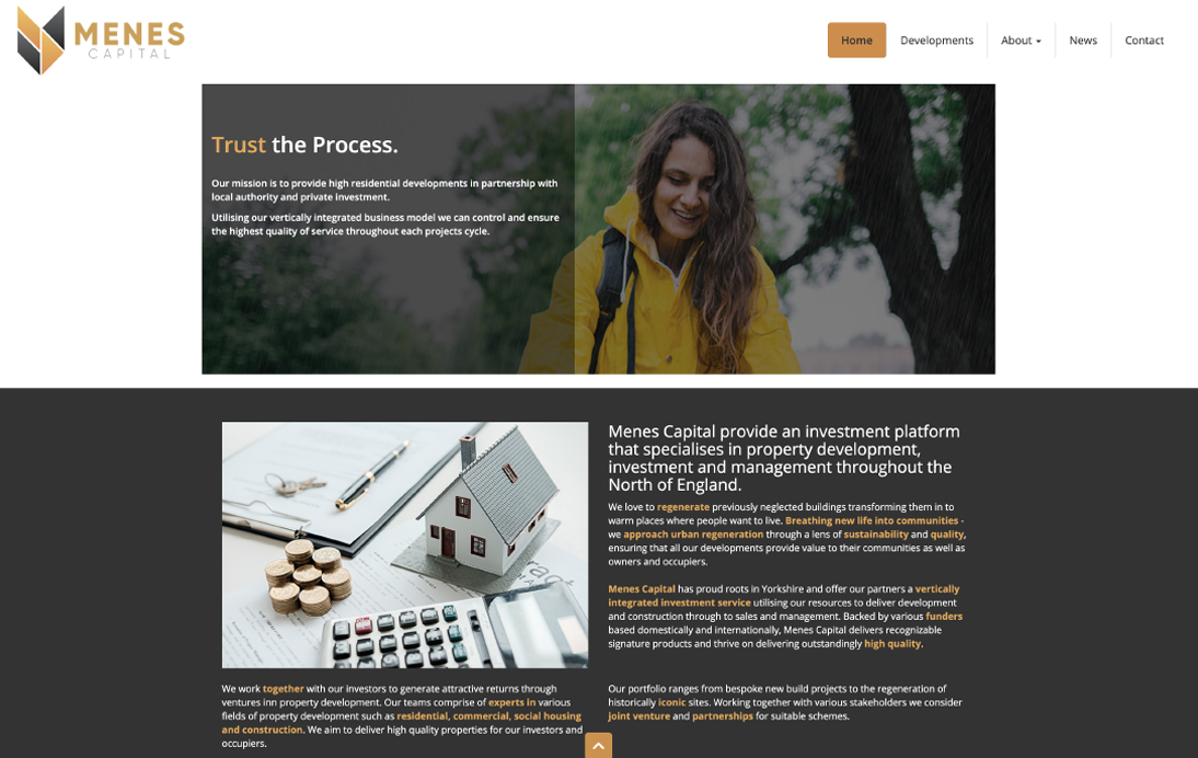 Menes website – desktop services page