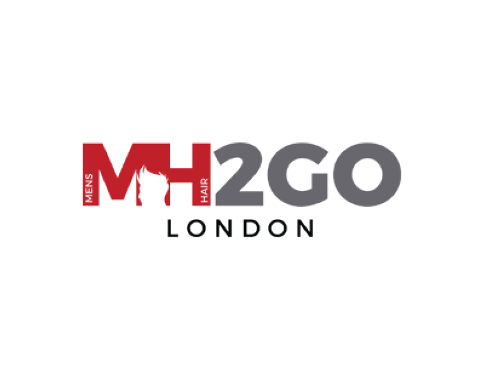 mh2go_image_1 MH2Go website section – clean UI and branding
